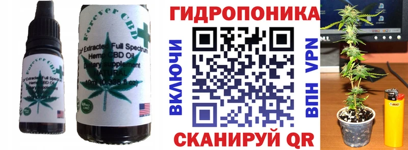 Купить закладки  Магас  Еда ТГК конопля 