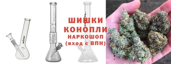 прущие грибы Богданович