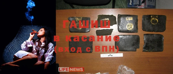 прущие грибы Богданович