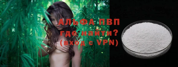 прущие грибы Богданович