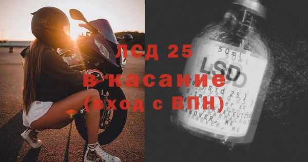 прущие грибы Богданович