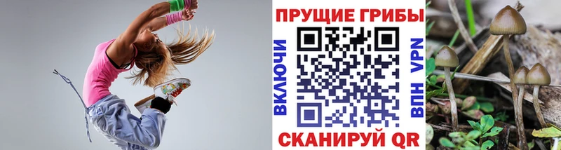 Псилоцибиновые грибы Psilocybe  Купить закладки  Магас 
